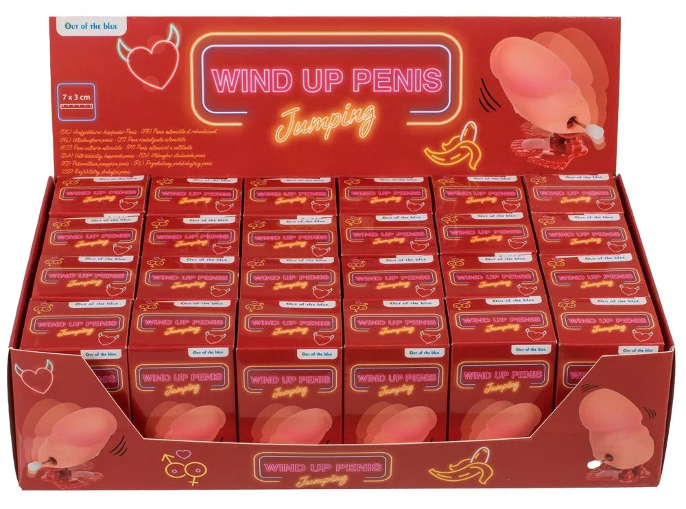 Wind-Up Willy - Happytoys Sexshop: online sex shop for Feeling Happy & Easy 😊 - Discreet geleverd
