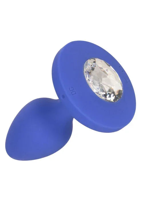 Bestel: Vibrating Probe Medium by CalExotics - bij Happytoys.nl, happytoys.be, Happytoys.ae: erotische sex webshop | liever Happy dan Easy βββββ