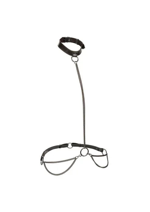 Bestel: Chain Halter & Collar Plus by CalExotics - bij Happytoys.nl, happytoys.be, Happytoys.ae: erotische sex webshop | liever Happy dan Easy ⭐⭐⭐⭐⭐ - Default Title - 16772 - BLACK