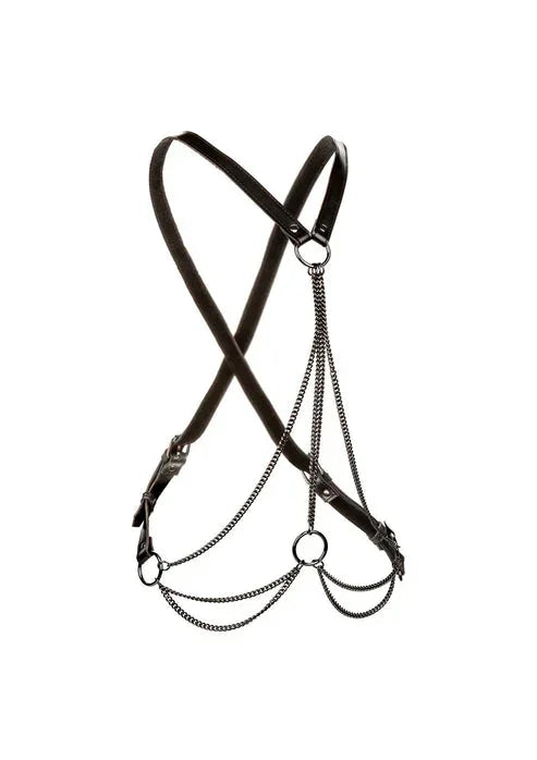 Bestel: Multi Chain Harness by CalExotics - bij Happytoys.nl, happytoys.be, Happytoys.ae: erotische sex webshop | liever Happy dan Easy ⭐⭐⭐⭐⭐ - Default Title - 16773 - BLACK
