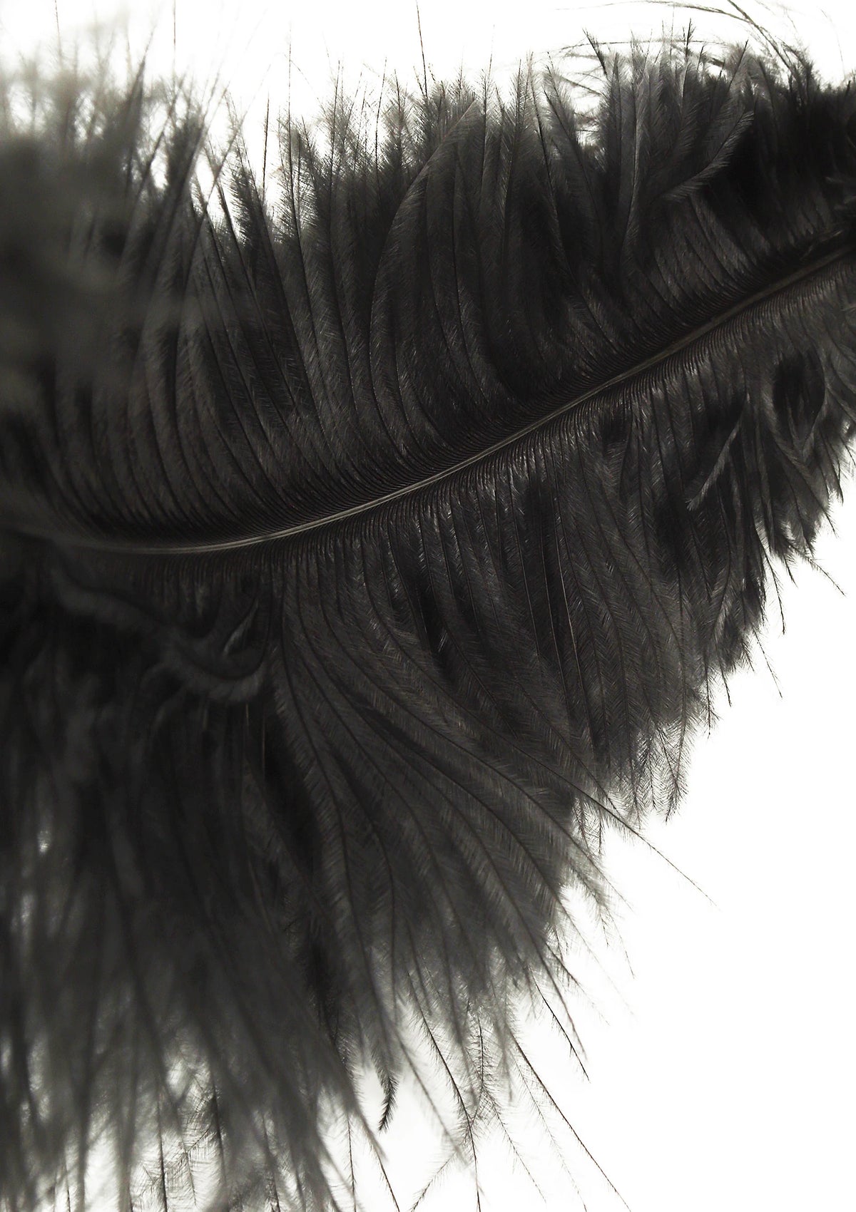 Bestel: Double Feather Tickler by Hidden Desire Extreme - bij Happytoys.nl, happytoys.be, Happytoys.ae: erotische sex webshop | liever Happy dan Easy ⭐⭐⭐⭐⭐