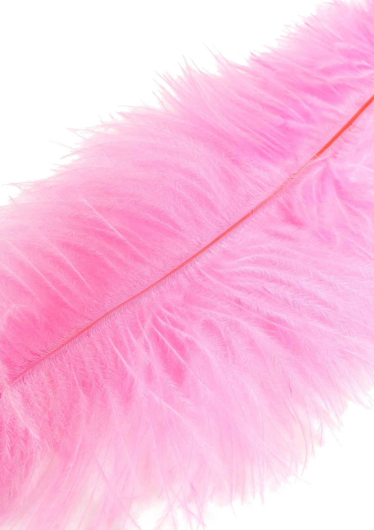 Bestel: Double Feather Tickler by Hidden Desire Extreme - bij Happytoys.nl, happytoys.be, Happytoys.ae: erotische sex webshop | liever Happy dan Easy ⭐⭐⭐⭐⭐