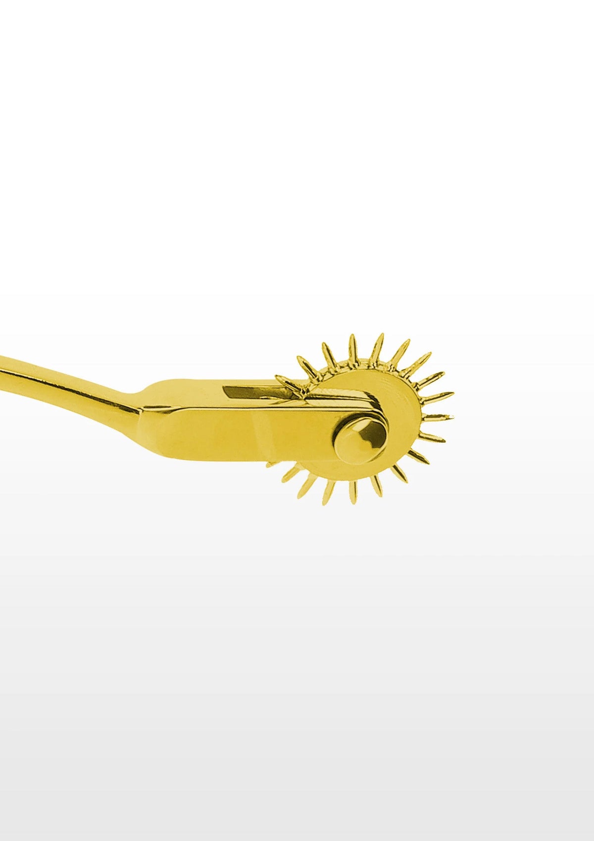 Bestel: Warterberg Wheel - bij Happytoys: de erotische sex webshop | liever Happy dan Easy ⭐⭐⭐⭐⭐