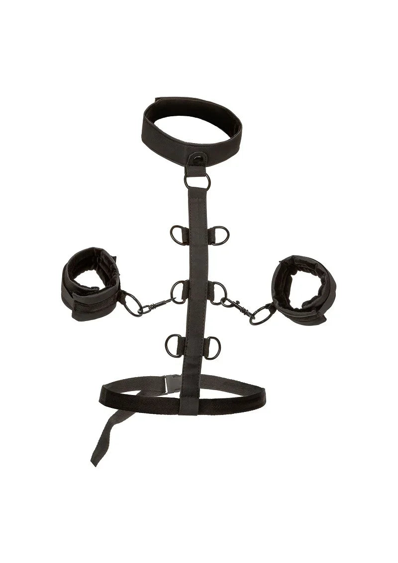 Bestel: Boundless Collar Body Restraint by CalExotics - bij Happytoys.nl, happytoys.be, Happytoys.ae: erotische sex webshop | liever Happy dan Easy ⭐⭐⭐⭐⭐