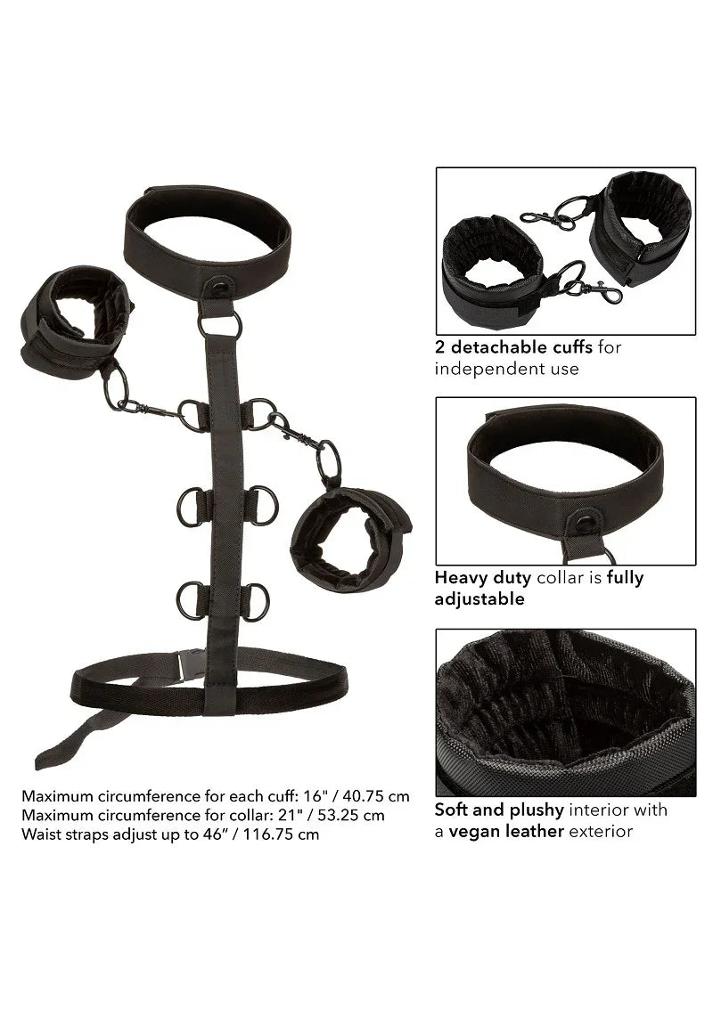 ♂ ♀ CalExotics Boundless Collar Body Restraint - Happytoys Sexshop: online sex shop for Feeling Happy & Easy 😊 - Discreet geleverd