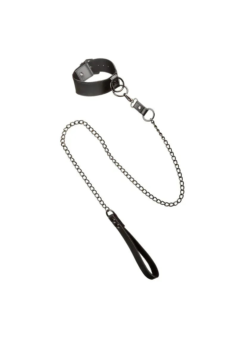 Bestel: Euphoria Collection Collar with Chain Leash by CalExotics - bij Happytoys.nl, happytoys.be, Happytoys.ae: erotische sex webshop | liever Happy dan Easy ⭐⭐⭐⭐⭐