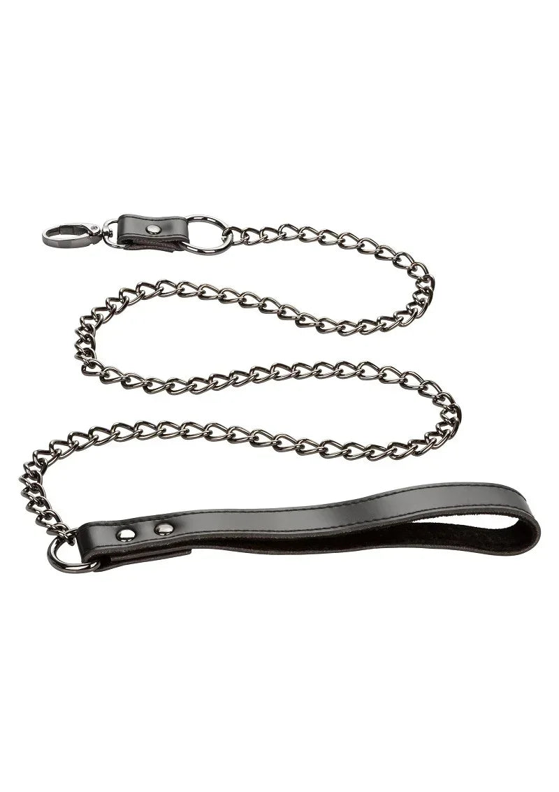 Bestel: Euphoria Collection Collar with Chain Leash by CalExotics - bij Happytoys.nl, happytoys.be, Happytoys.ae: erotische sex webshop | liever Happy dan Easy ⭐⭐⭐⭐⭐