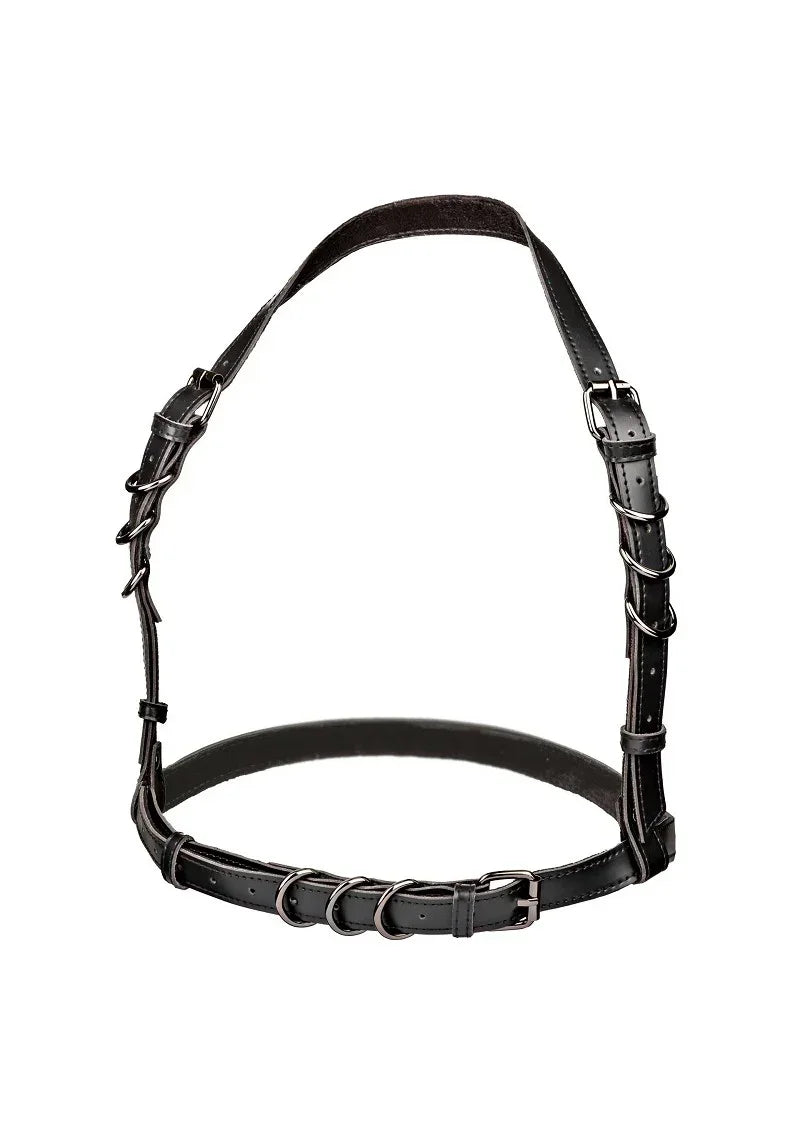 Bestel: Euphoria Collection Halter Buckle Harness by CalExotics - bij Happytoys.nl, happytoys.be, Happytoys.ae: erotische sex webshop | liever Happy dan Easy ⭐⭐⭐⭐⭐