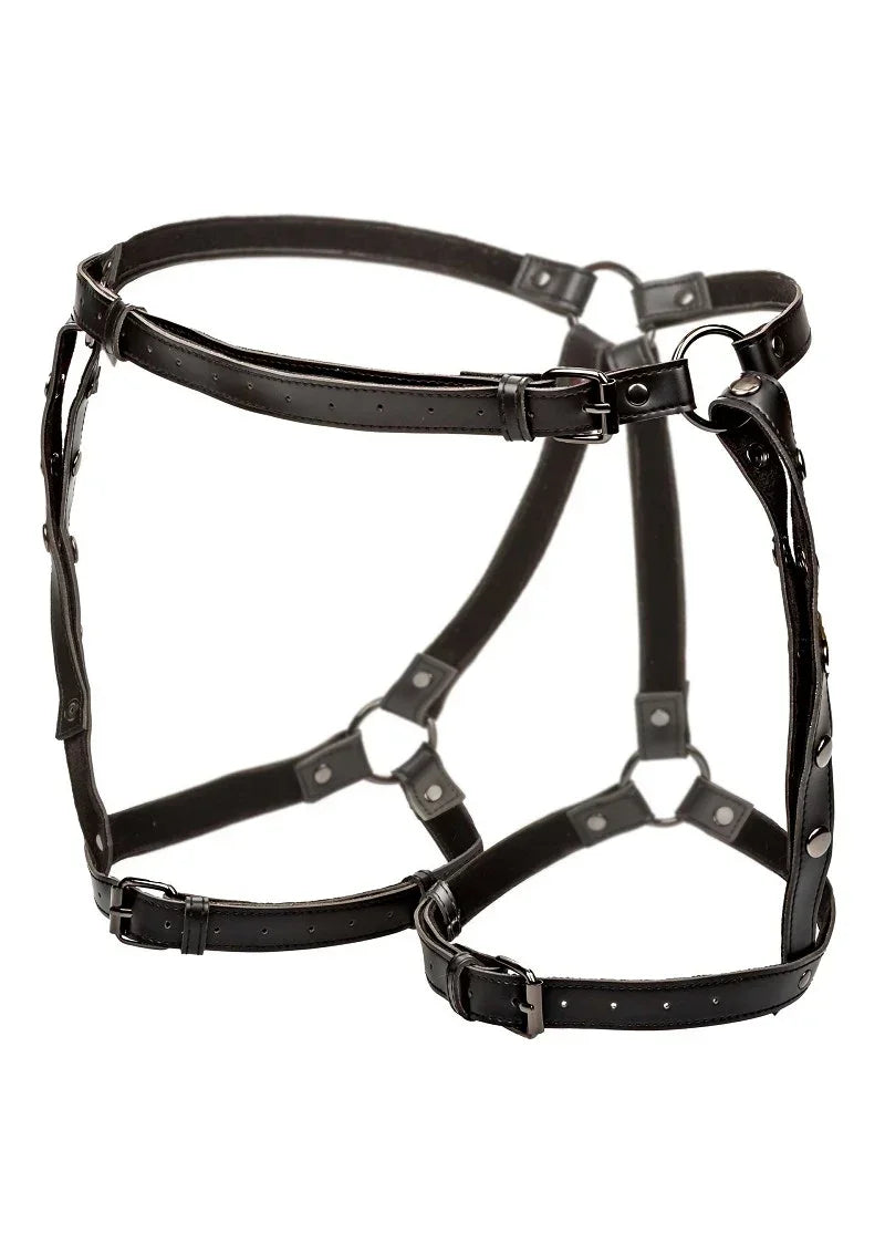 Bestel: Euphoria Collection Plus Size Riding Thigh Harness by CalExotics - bij Happytoys.nl, happytoys.be, Happytoys.ae: erotische sex webshop | liever Happy dan Easy ⭐⭐⭐⭐⭐