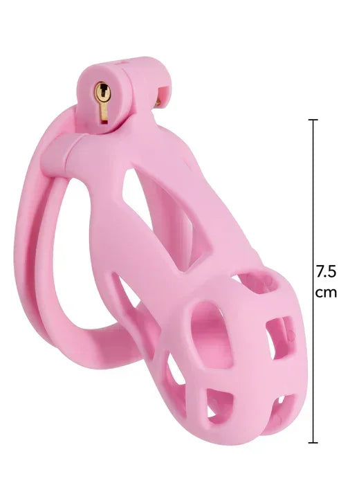 Bestel: Penis Prison Cock Cage Regular by Hidden Desire - bij Happytoys.nl, happytoys.be, Happytoys.ae: erotische sex webshop | liever Happy dan Easy ⭐⭐⭐⭐⭐