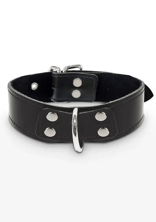 Bondage Essentials Elegante D-Ring Halsband @ Taboom - Happytoys Sexshop: online sex shop for Feeling Happy & Easy ๐ - Discreet geleverd