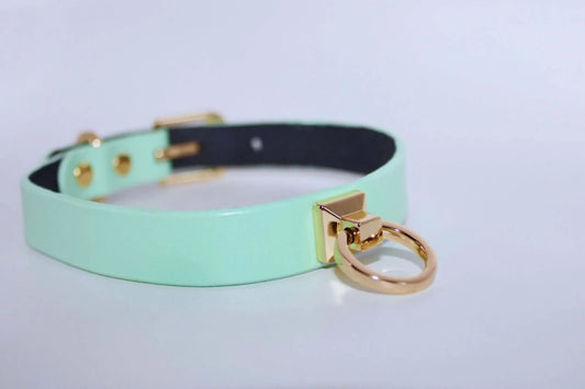 Collars For Women Mint Green Leather ORing Choker Collar for BDSM Play - Happytoys Sexshop: online sex shop for Feeling Happy & Easy π - Discreet geleverd