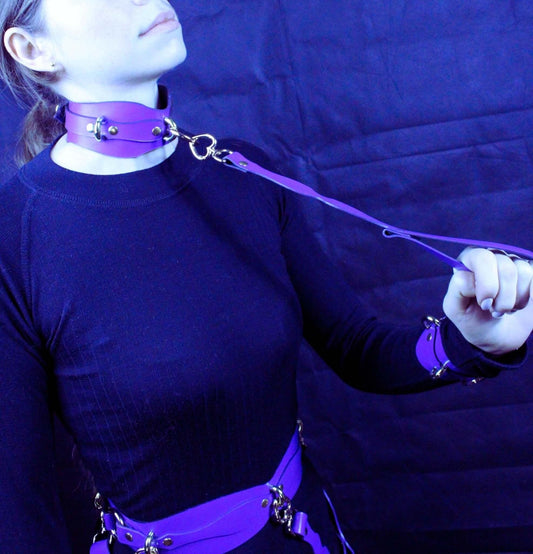 Choker Collar Leather BDSM Collar with Leash Adjustable Fetish Choker - Happytoys Sexshop: online sex shop for Feeling Happy & Easy 😊 - Discreet geleverd