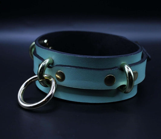 Posture Collar with Gold O-Ring BDSM Choker for Submissive Bondage