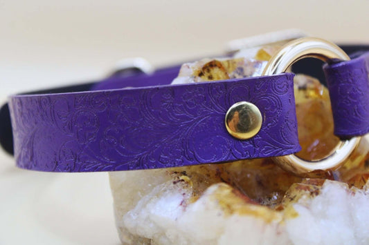 Submissive Collar Purple O-Ring | Choker Collar | Submissive Jewelry - Happytoys Sexshop: online sex shop for Feeling Happy & Easy π - Discreet geleverd