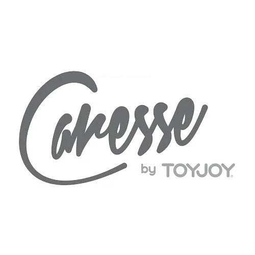 Caresse by ToyJoy logo in elegant gray script on white background