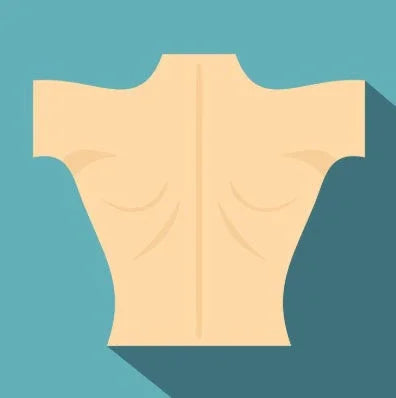 Illustration of a human torso with chest muscles on a blue background