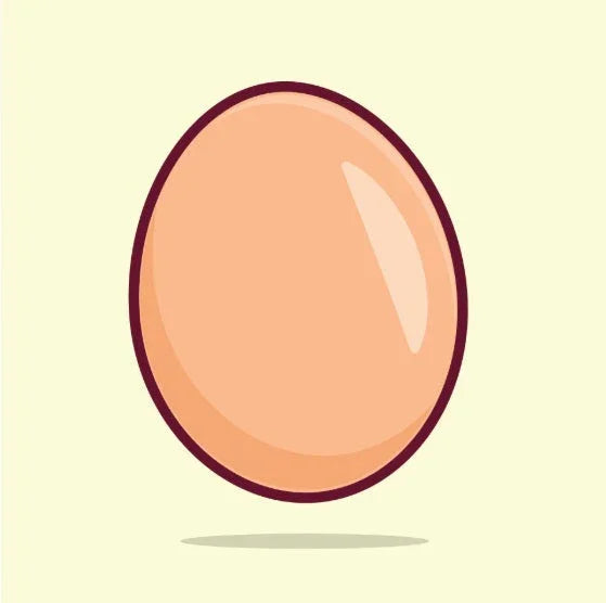simple illustration of a single brown egg with shadow on light beige background