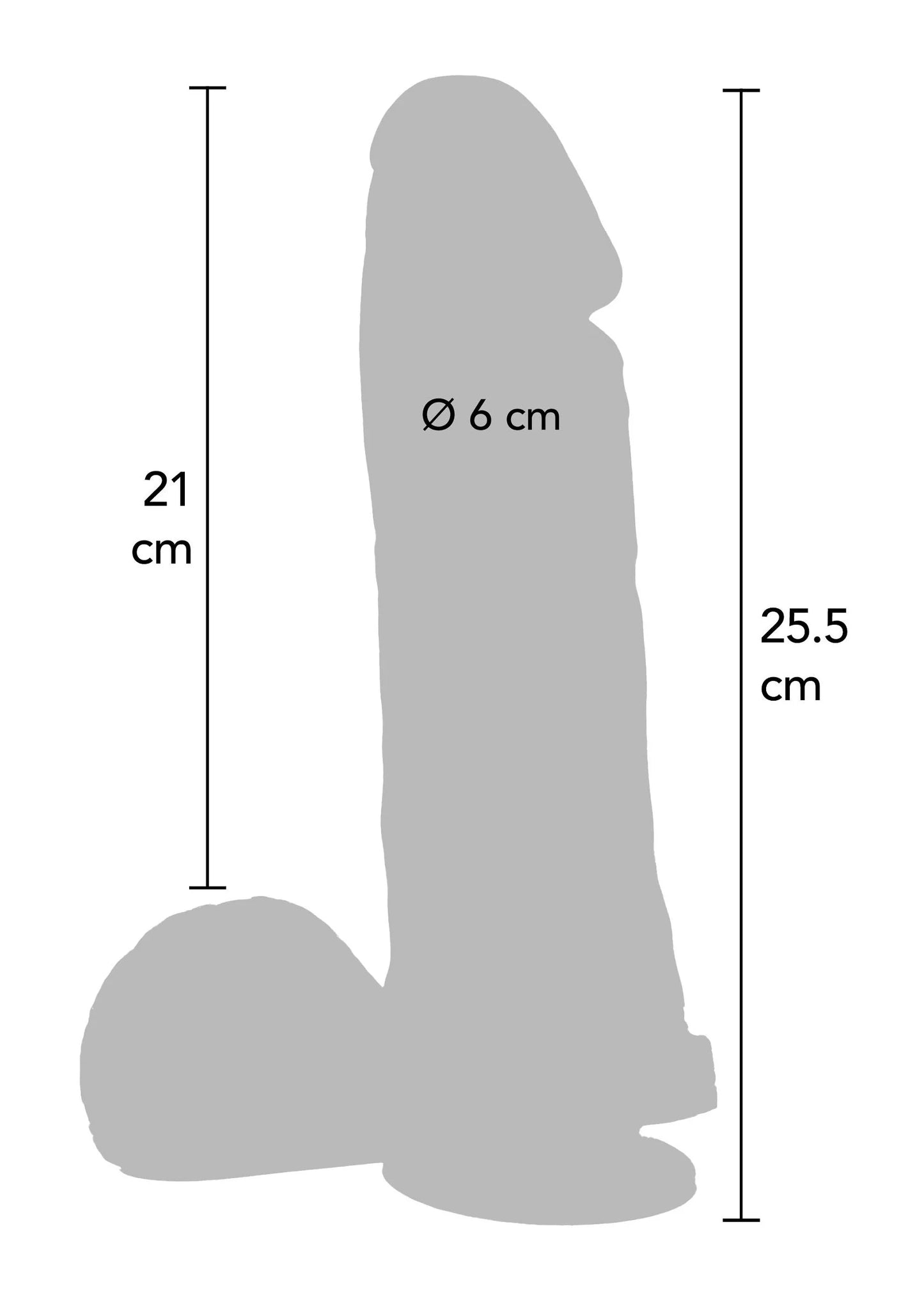 Afmetingenschets van dildo: Ø 6 cm en 25,5 cm hoog, brede gebogen voet