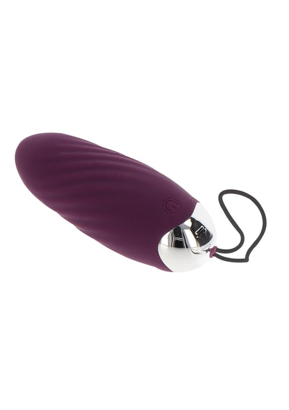 Paarse ovale eier-vibrator met zilveren onderkant en zwarte snoerlus