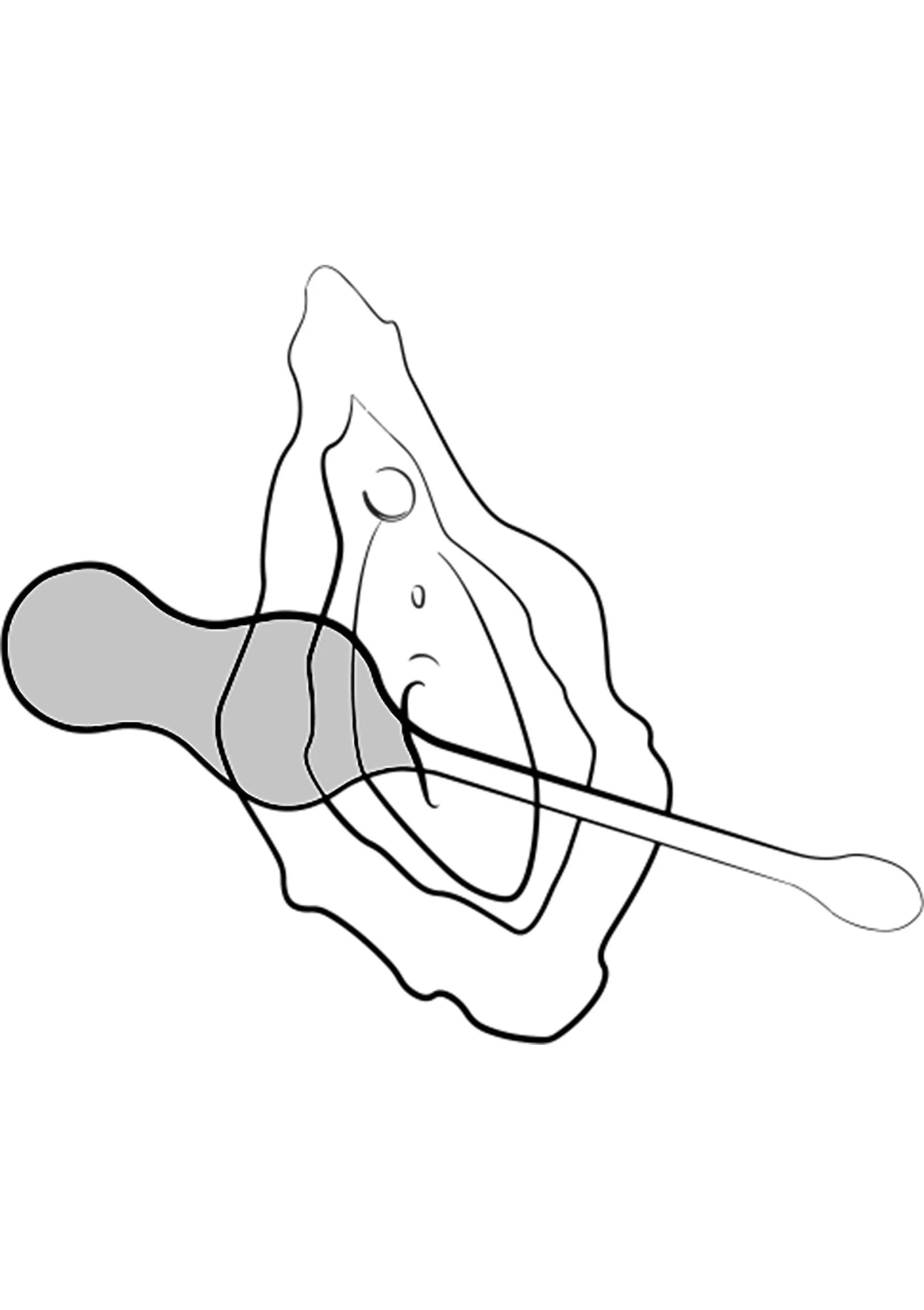 Illustratie van plaatsing van Romp Cello G-spot vibrator, turkoois