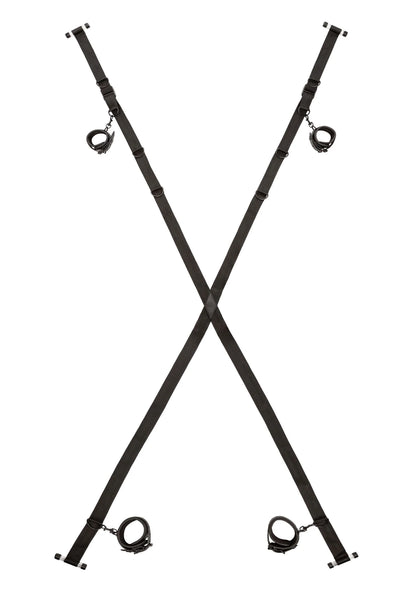 Zwarte V-vormige harnassen met kruisband voor bevestiging; metalen ringen en gespen zichtbaar.
