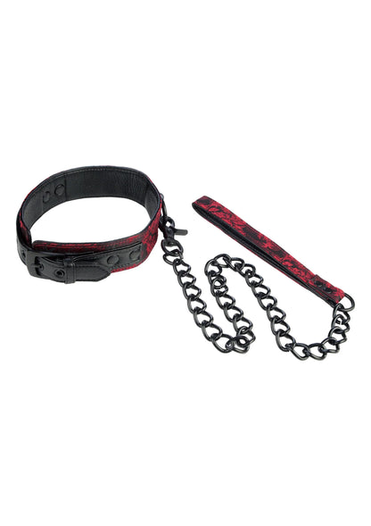 Halsband en leiband met rood-swart band en zilverkleurige ketting