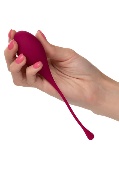 Bestel: Kegel Training 5 - Piece Set bekkenbodem trainer by CalExotics - bij Happytoys: de erotische sex webshop | liever Happy dan Easy ⭐⭐⭐⭐⭐
