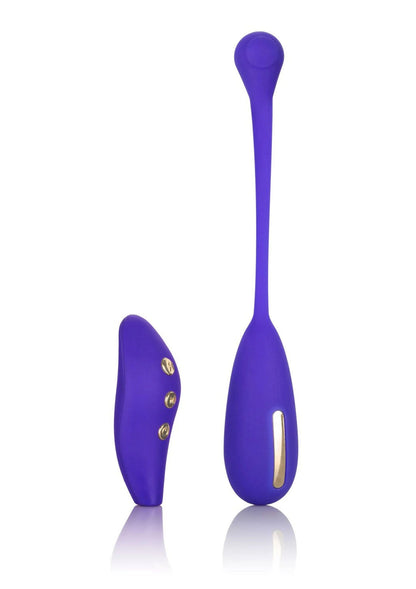 Paarse kegelstimulator-set met lange steel en ovale bedieningskop