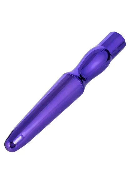 Rechargeable Anal Probe by CalExotics