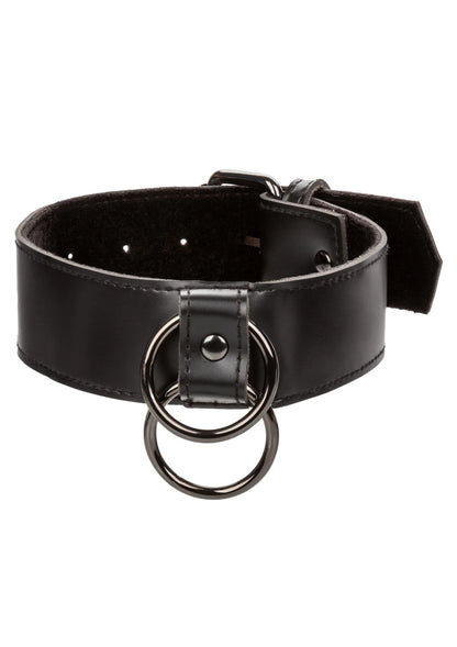 Euphoria Collection Collar with Chain Leash by CalExotics