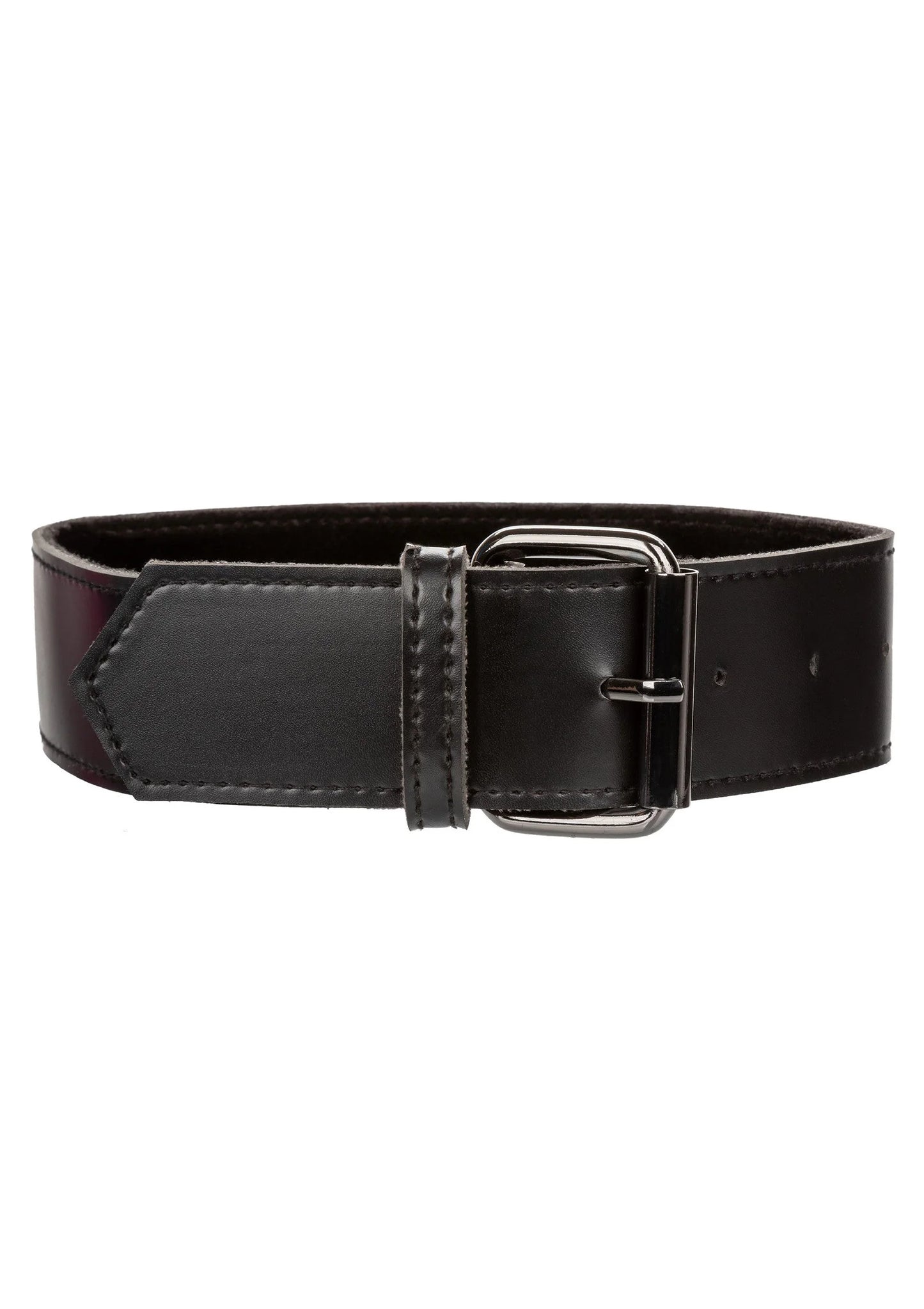 Euphoria Collection Collar with Chain Leash by CalExotics