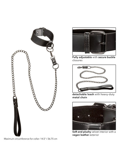 Euphoria Collection Collar with Chain Leash by CalExotics