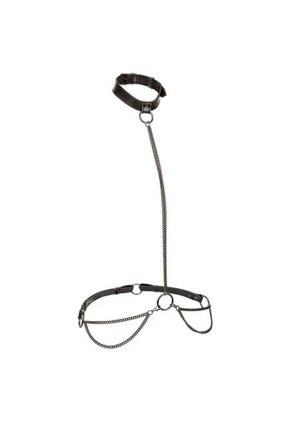 Chain Halter & Collar by CalExotics