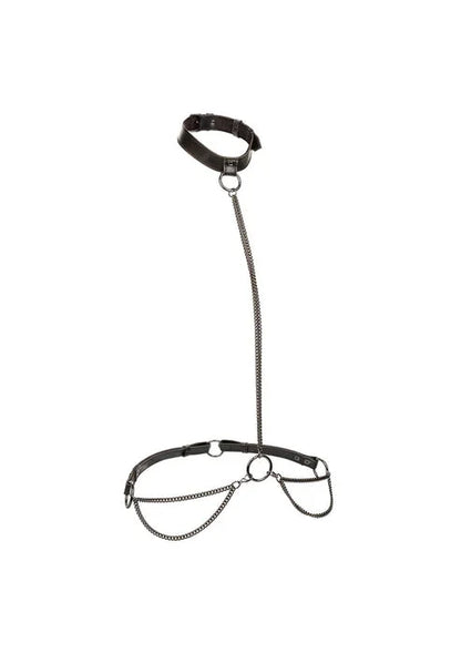 Chain Halter & Collar Plus by CalExotics
