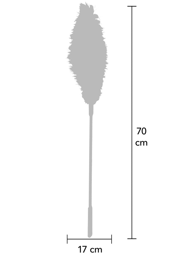 Doppelfedernkitzler