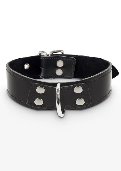 zwarte D-ring halsband met twee riemgespen en ronde metalen ooglets