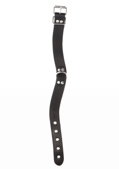 Zwarte halsband met gespsluiting, metalen oogjes en lange verstelband