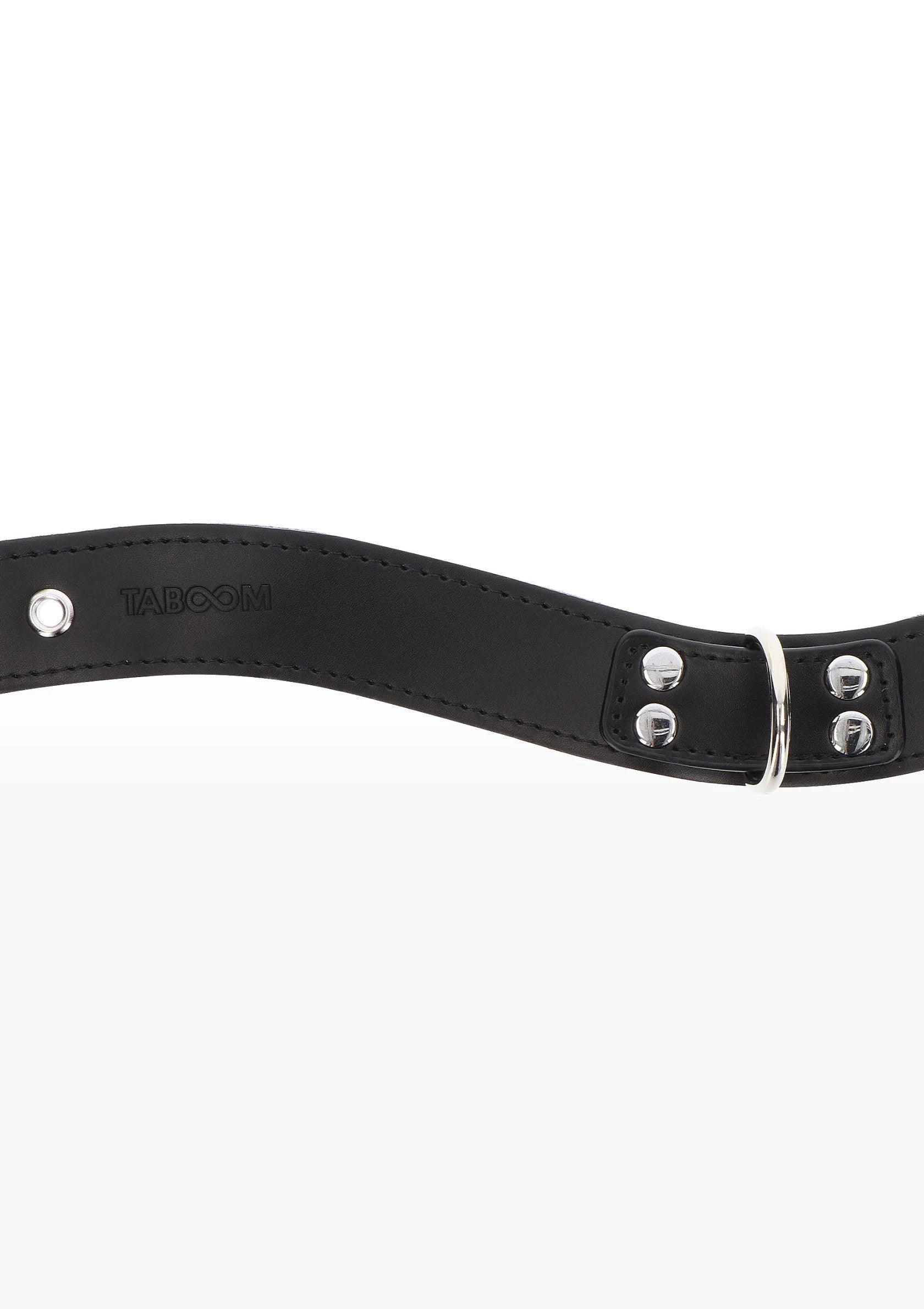 zwarte halsbanddetail met metalen sluiting en ronde bevestigingsgaten