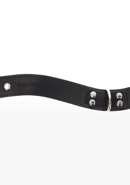 zwarte halsbanddetail met metalen sluiting en ronde bevestigingsgaten