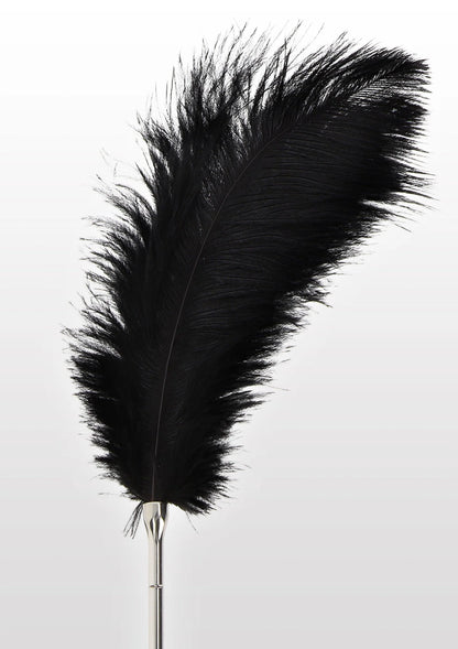 Bestel: Feather Tickler - bij Happytoys: de erotische sex webshop | liever Happy dan Easy ⭐⭐⭐⭐⭐