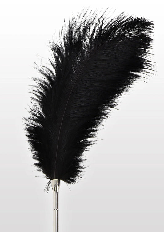 Bestel: Feather Tickler - bij Happytoys: de erotische sex webshop | liever Happy dan Easy ⭐⭐⭐⭐⭐