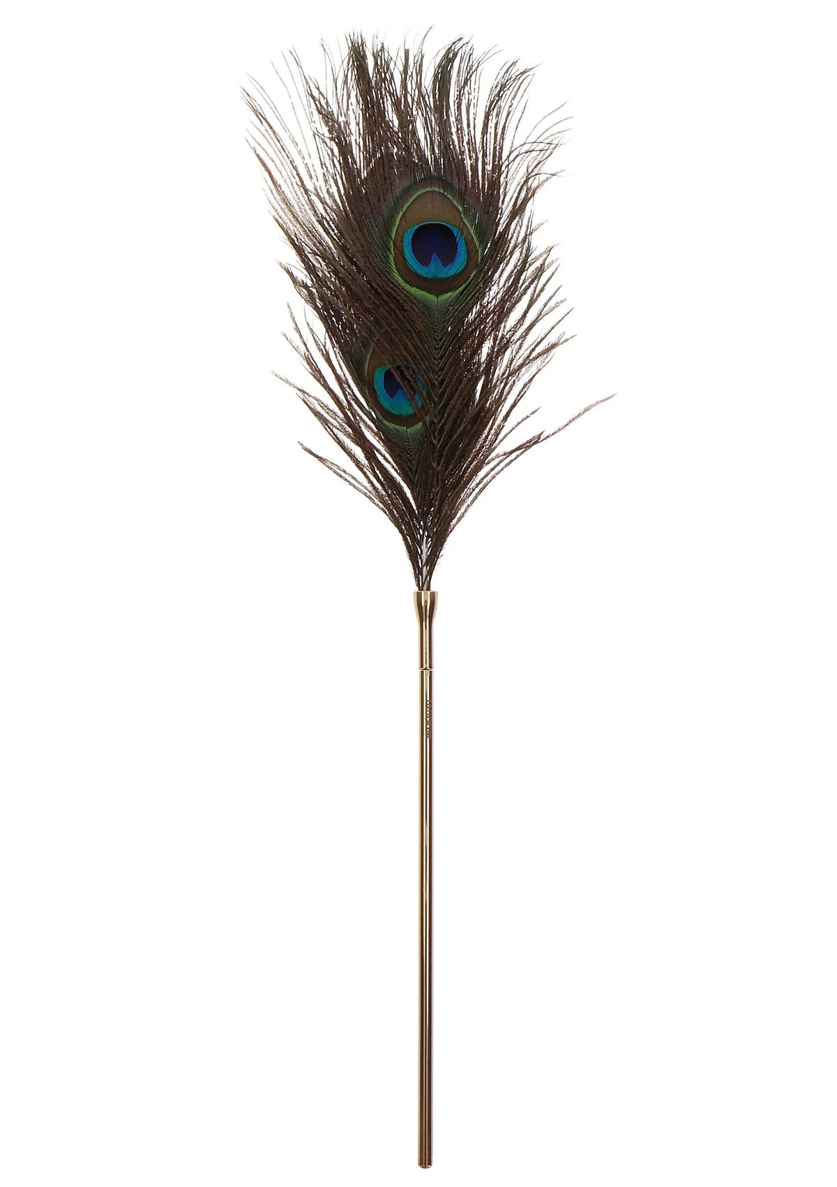 Los pauwveertje op gouden steel met twee blauwe oogvlekken