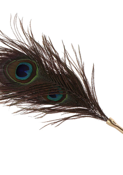 Close-up pauwveer tickler met groene-blauwe ogen en bruine veren op stokje