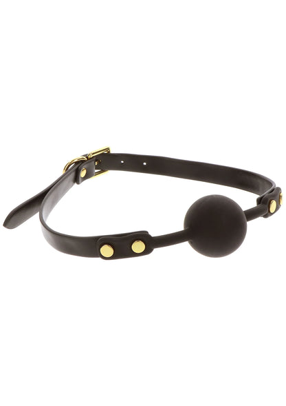 Zwarte bal gag met ronde bal en leren bandjes, goudkleurige klinknagels in detail.