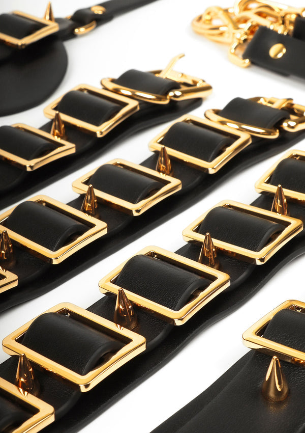 Desires Masterpiece Case by Taboom Desires