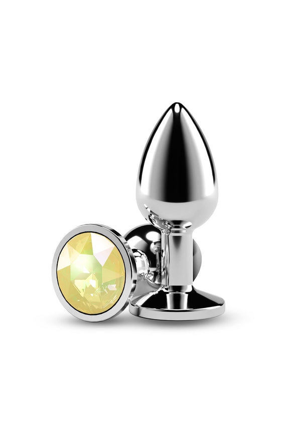 Rear Assets Silver butplug Small by NS Novelties