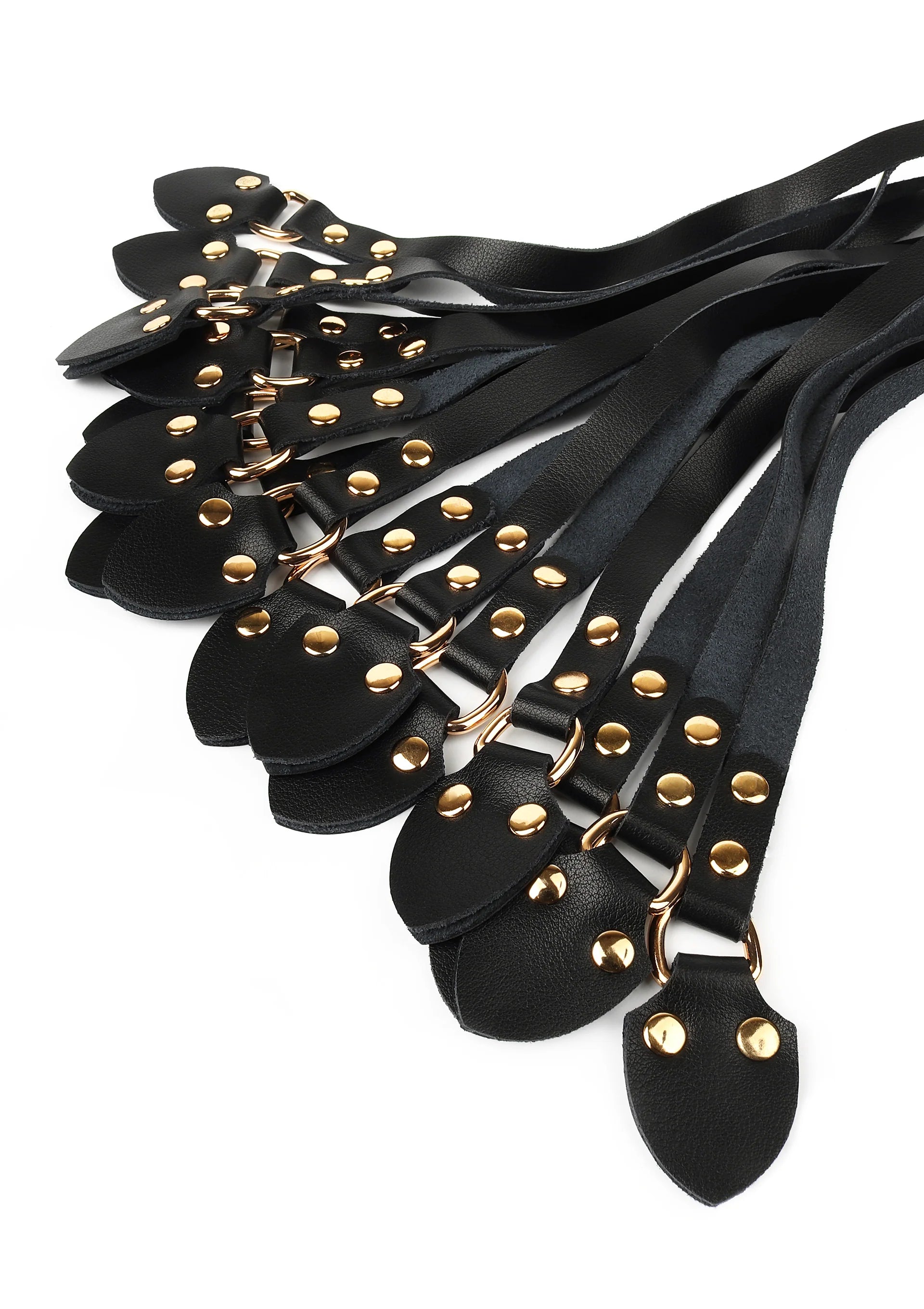Close-up van zwarte leren zweeptongen met gouden metalen studs en zwarte riemen