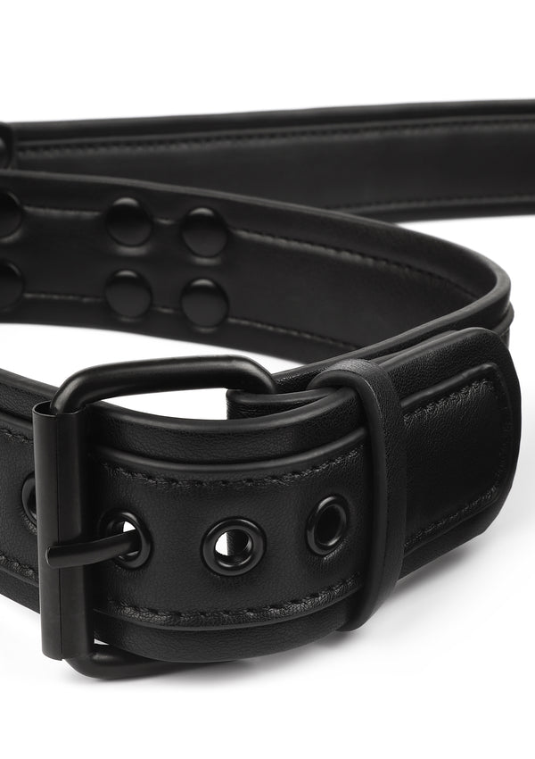 Signature Collar & Leash Vantage 8 Avanza