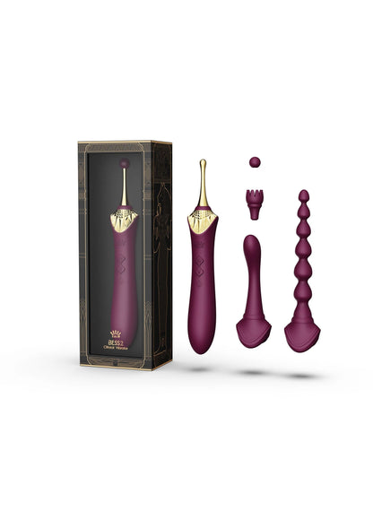 Verpakte set met paarse clitorale vibrator en meerdere extra vibrators